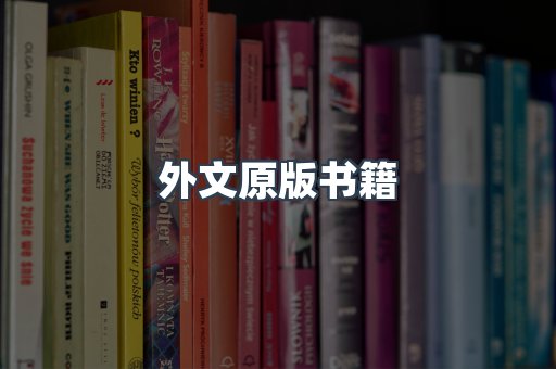 PDF电子书下载